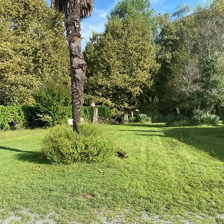 Domaine De Cachaou Logis Du Pujeau Sauna & Piscine Chauffee *