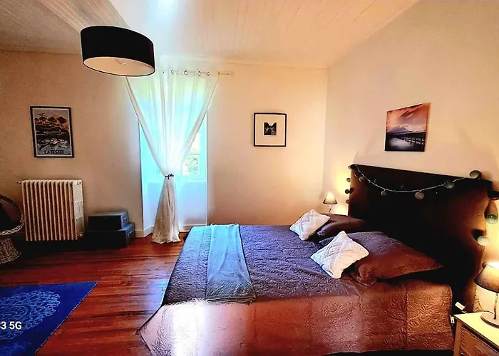 Domaine De Cachaou Logis Du Pujeau Sauna & Piscine Chauffee ساليس